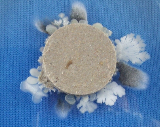 image05
