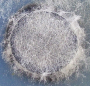 image017