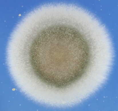 image024